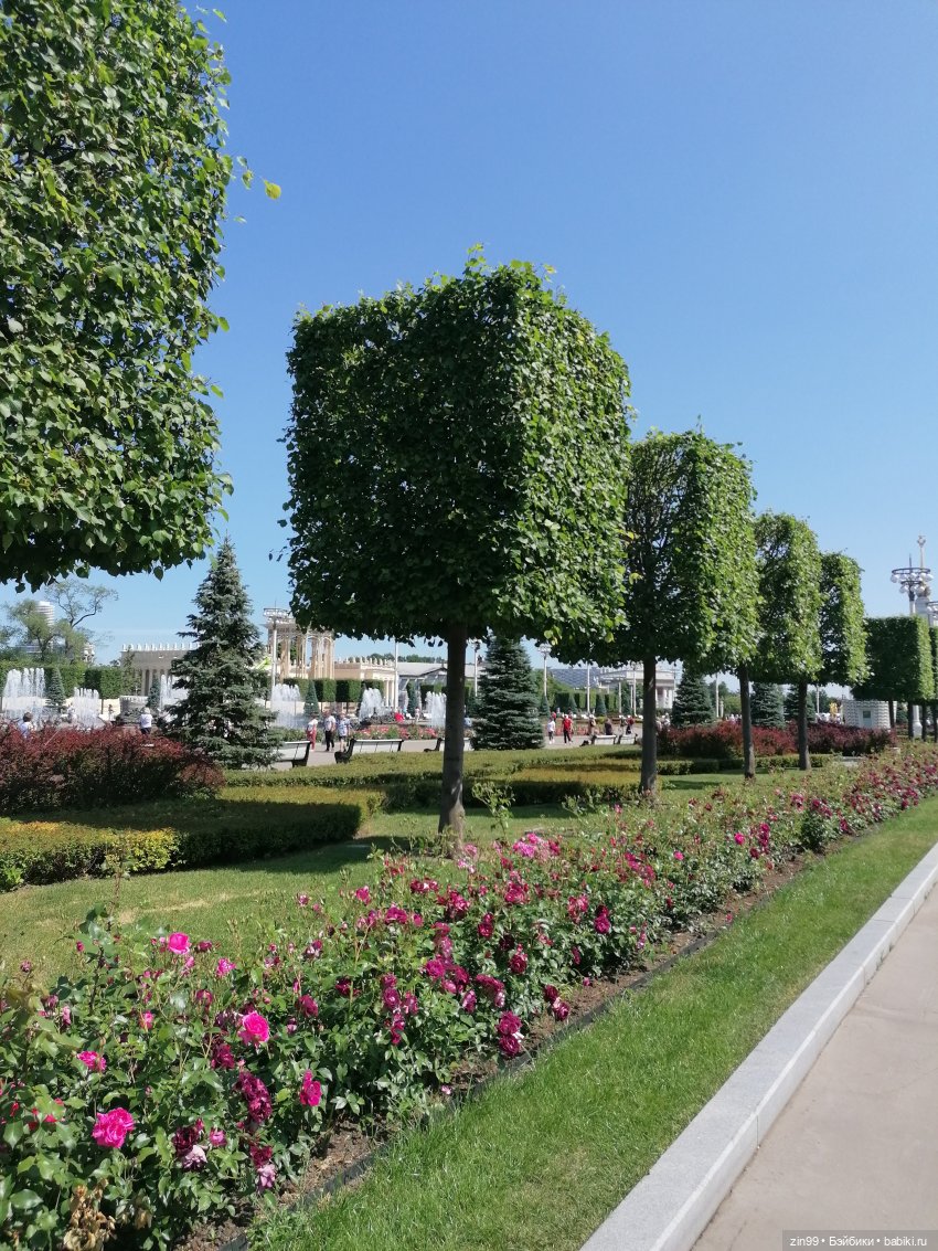 Куклы Ллоренс и прогулка по ВДНХ в июне 2023 года