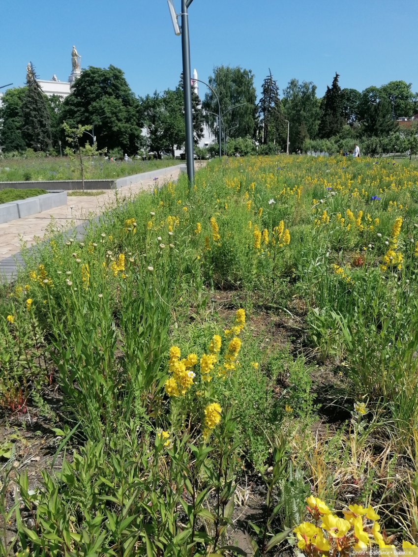 Куклы Ллоренс и прогулка по ВДНХ в июне 2023 года (фото 10)