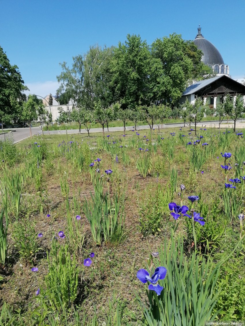 Куклы Ллоренс и прогулка по ВДНХ в июне 2023 года (фото 5)