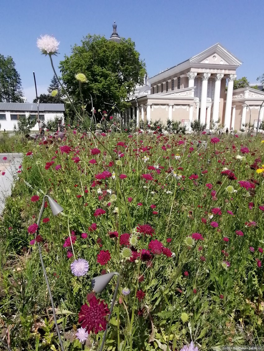 Куклы Ллоренс и прогулка по ВДНХ в июне 2023 года