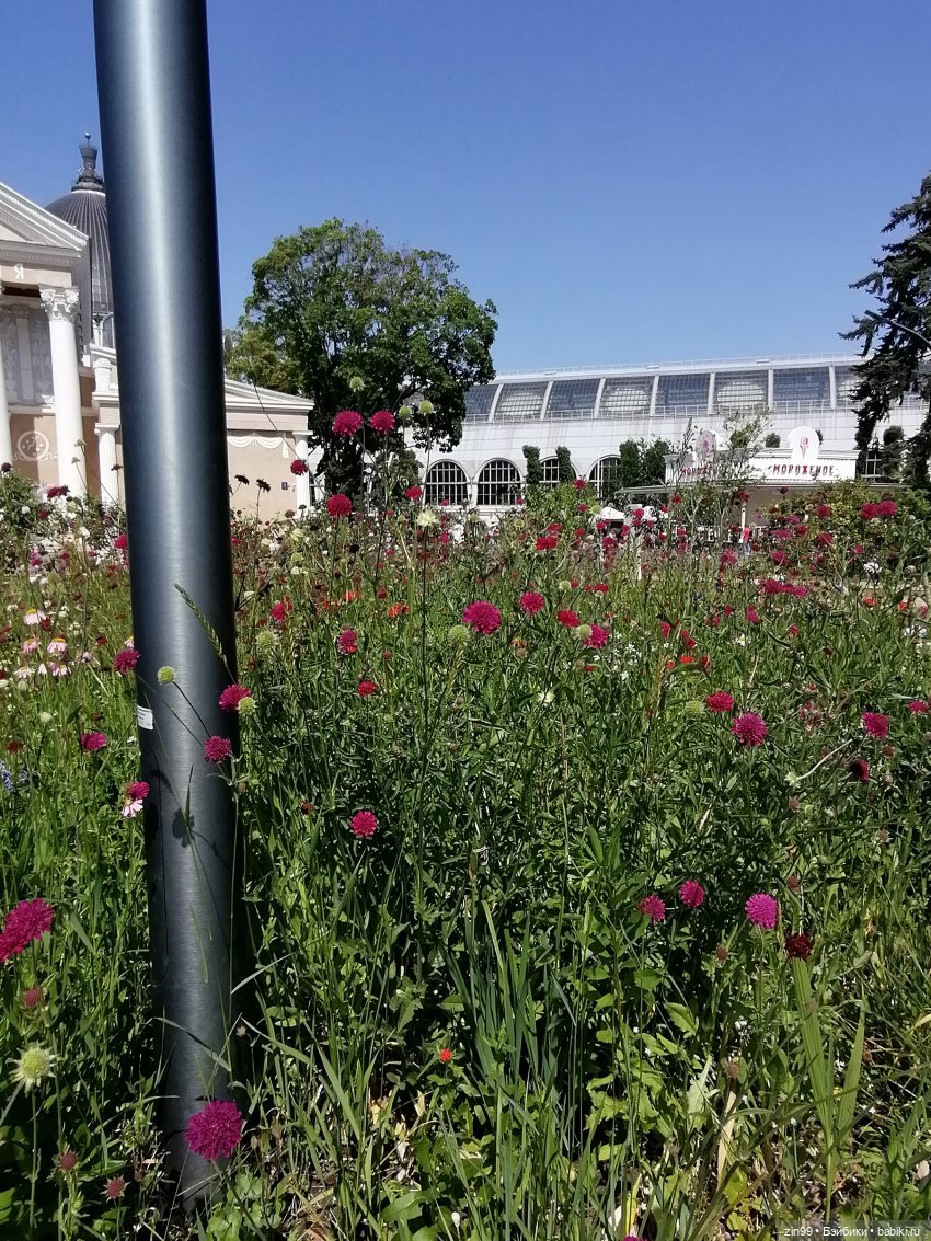 Куклы Ллоренс и прогулка по ВДНХ в июне 2023 года