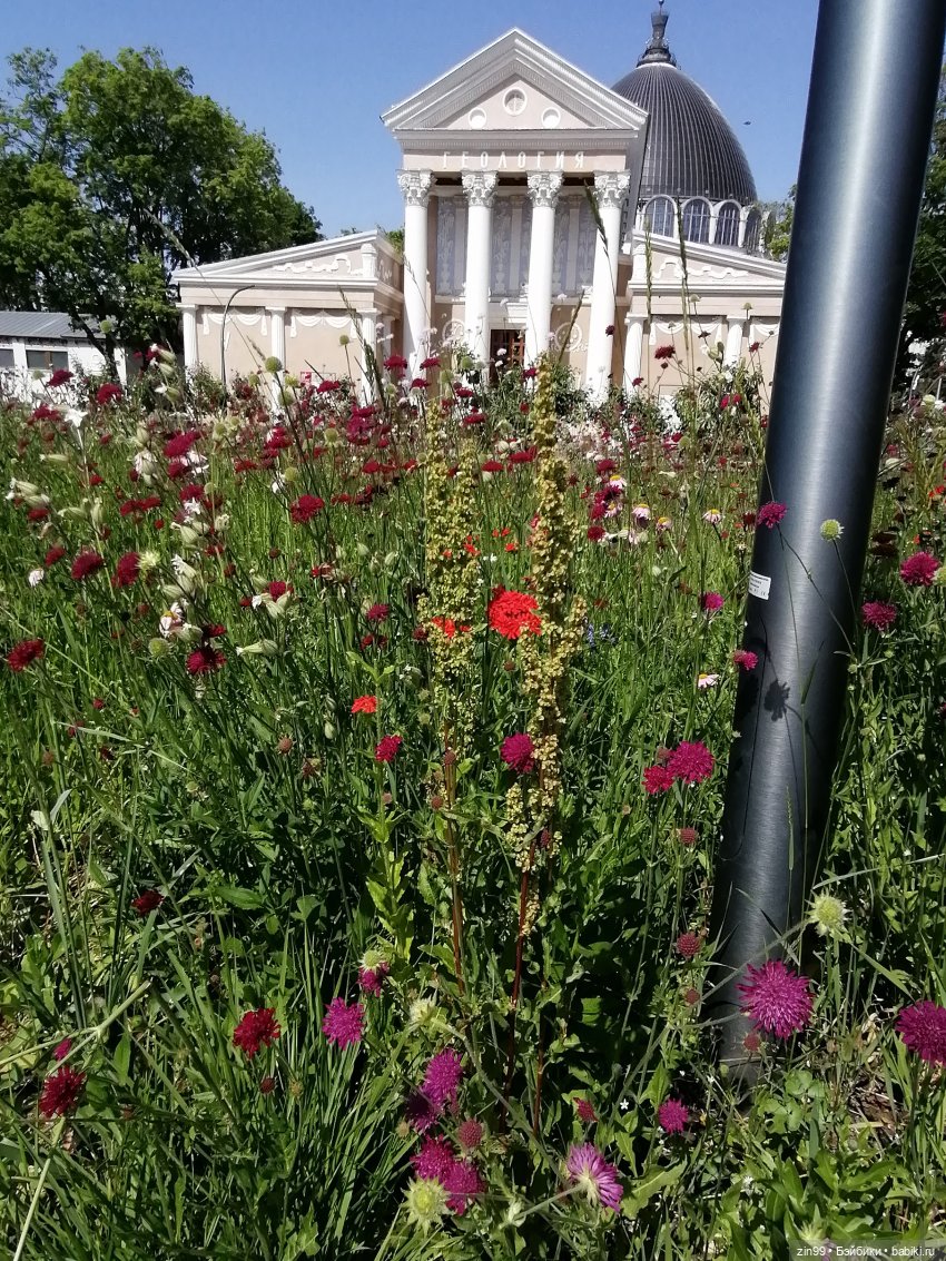 Куклы Ллоренс и прогулка по ВДНХ в июне 2023 года