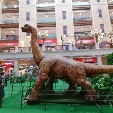 Прогулка в Центральный Детский Магазин в Москве, в июне!