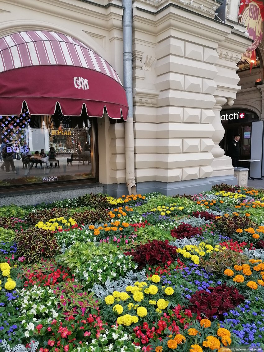 Куколки Fail Fiх на берегу водоема и в ГУМе