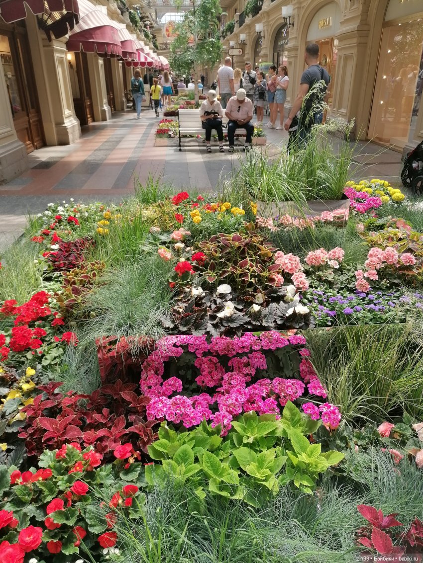 Куколки Fail Fiх на берегу водоема и в ГУМе