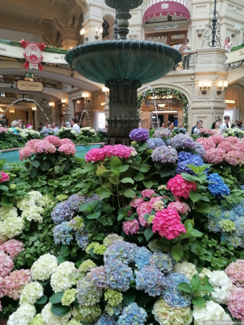 Куколки Fail Fiх на берегу водоема и в ГУМе