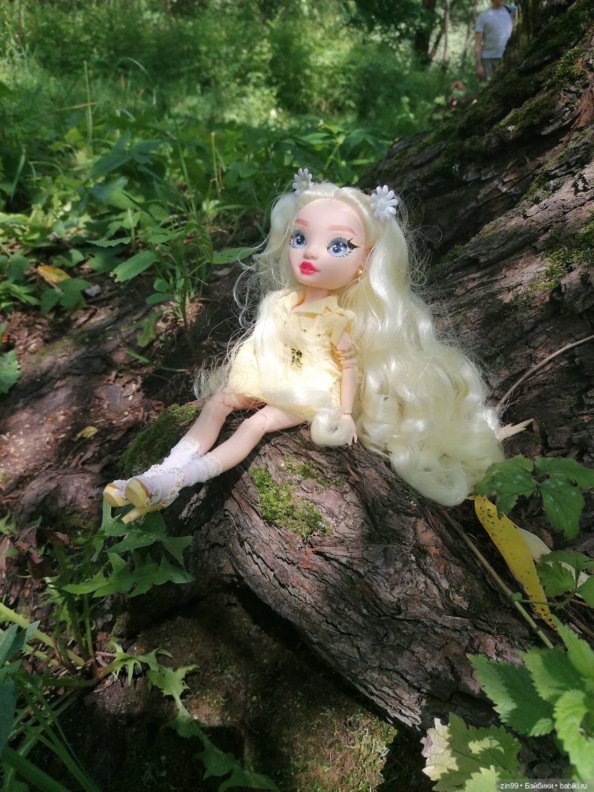 Ромашки для Ромашки и приезд прекрасной Моник