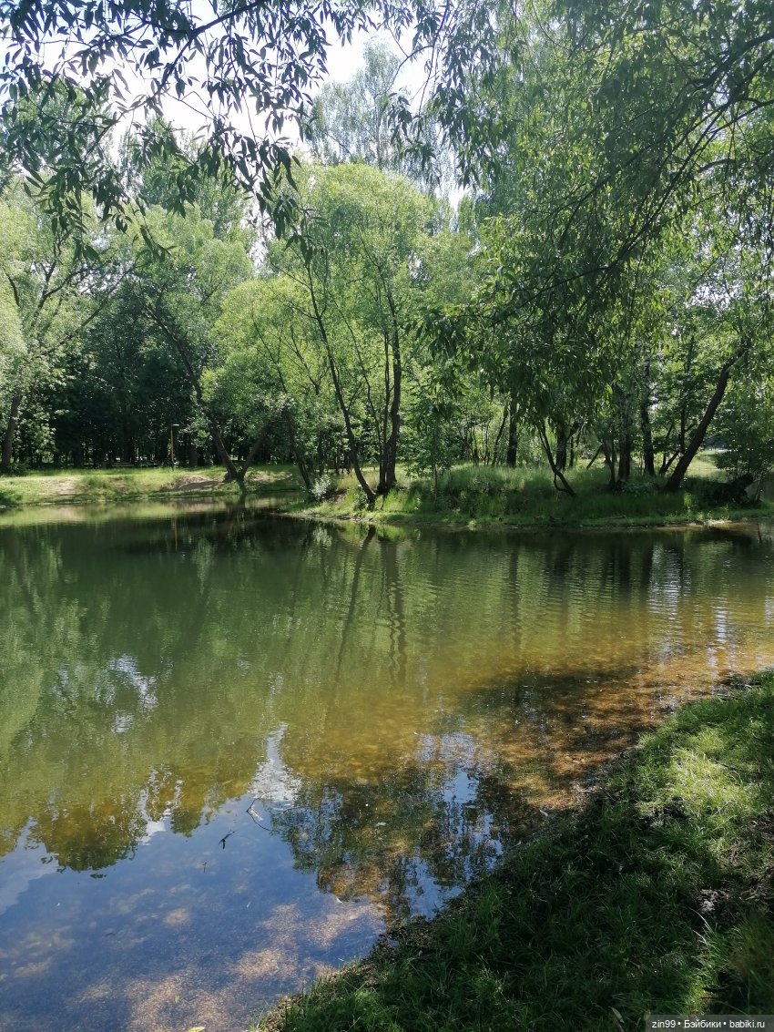 Ромашки для Ромашки и приезд прекрасной Моник