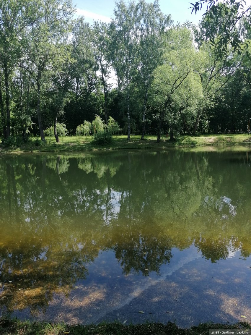 Ромашки для Ромашки и приезд прекрасной Моник (фото 7)