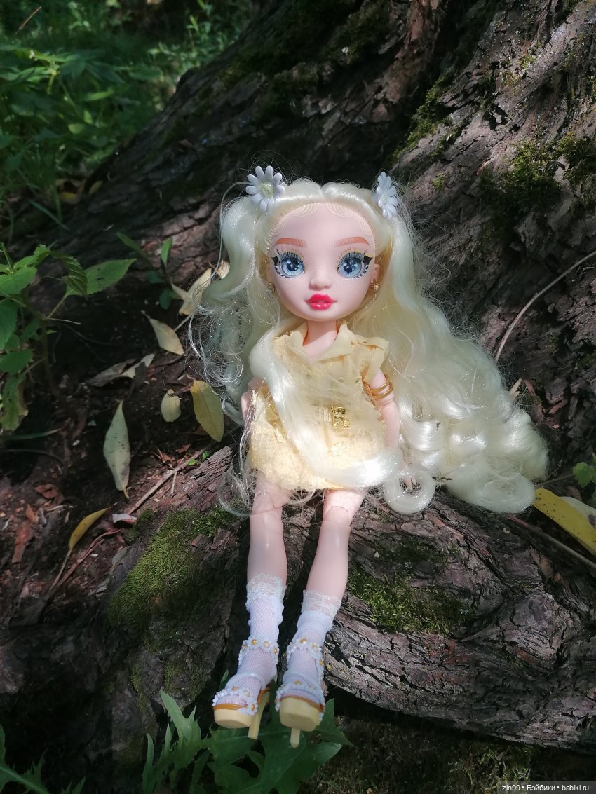 Ромашки для Ромашки и приезд прекрасной Моник