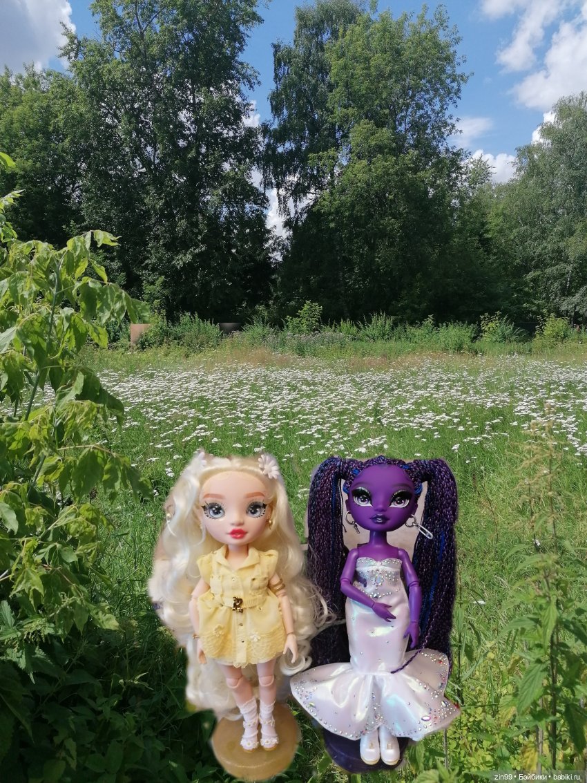 Ромашки для Ромашки и приезд прекрасной Моник