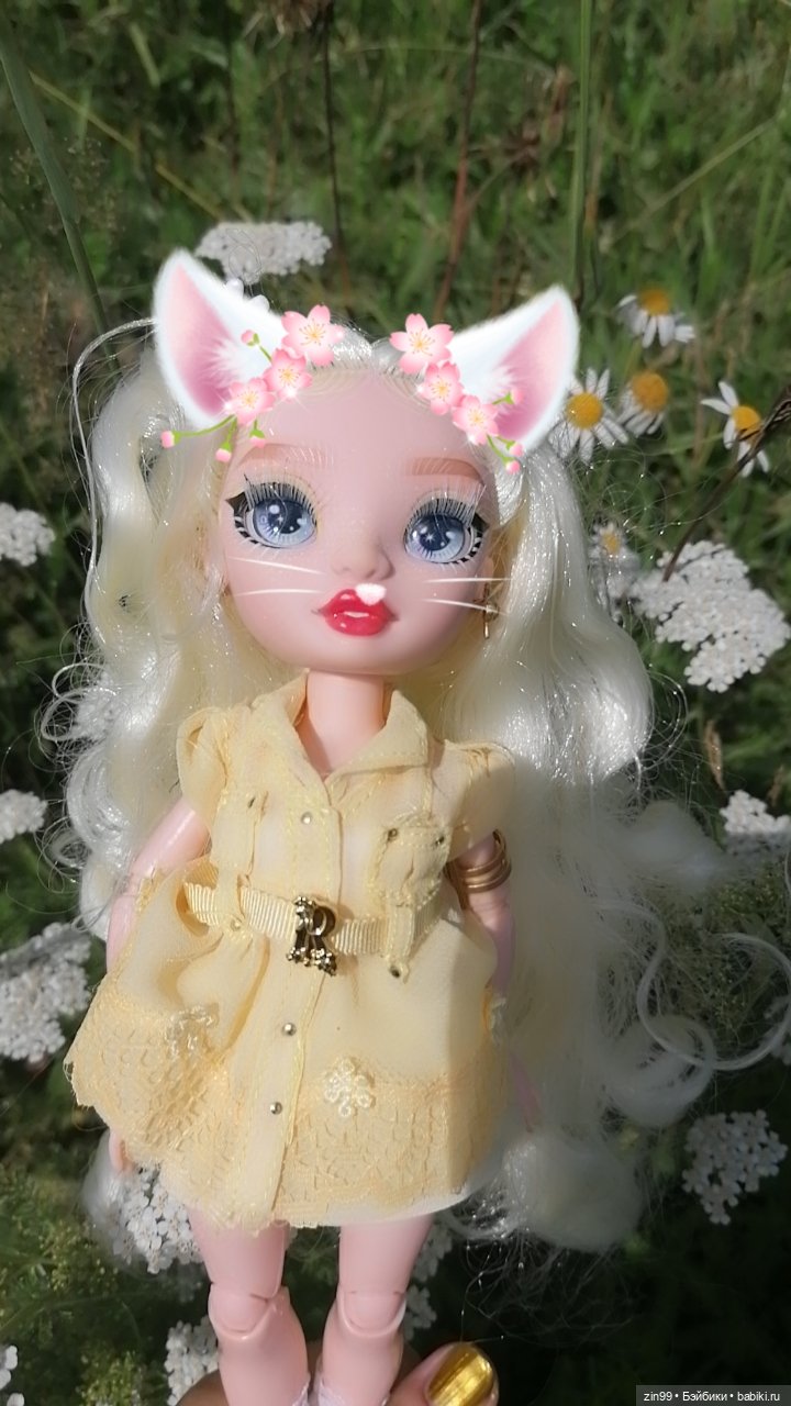 Ромашки для Ромашки и приезд прекрасной Моник