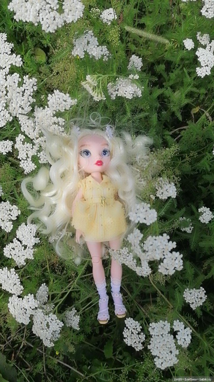 Ромашки для Ромашки и приезд прекрасной Моник