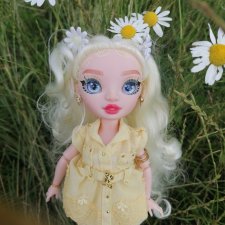 Ромашки для Ромашки и приезд прекрасной Моник