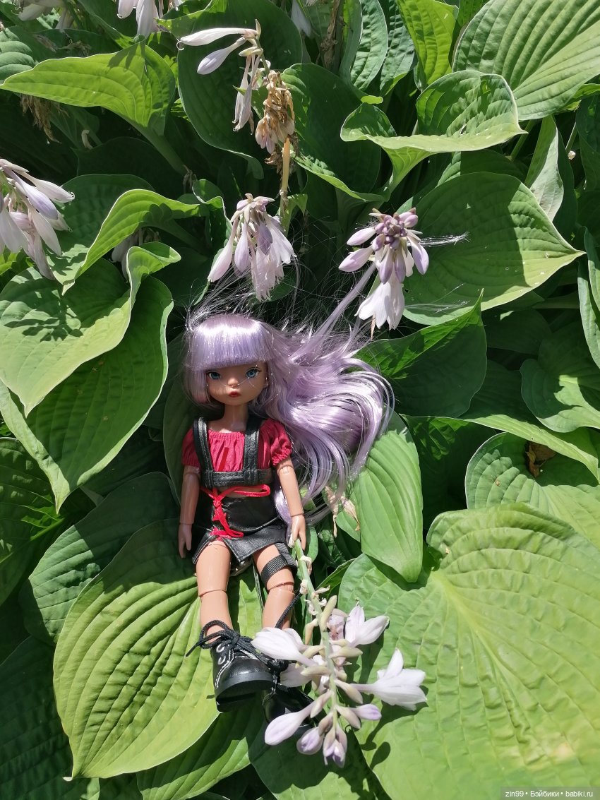 Гидрофлай фест! Не жарко. Приезд новенькой