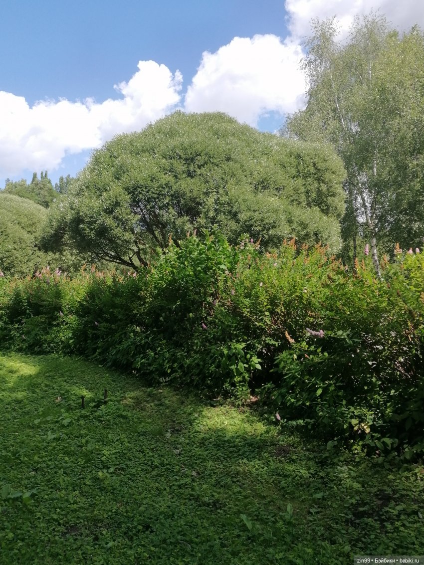 Гидрофлай фест! Не жарко. Приезд новенькой