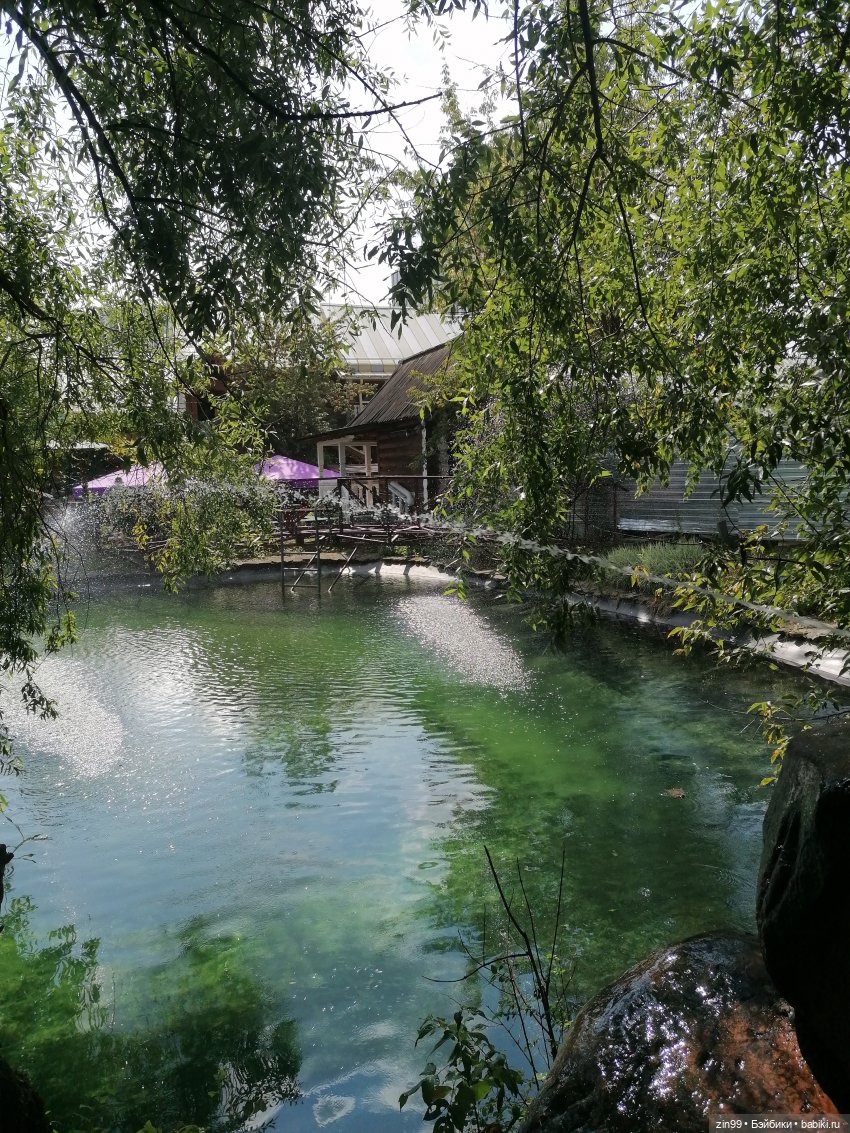 Вернисаж в Измайлово и Джорджия (фото 2)