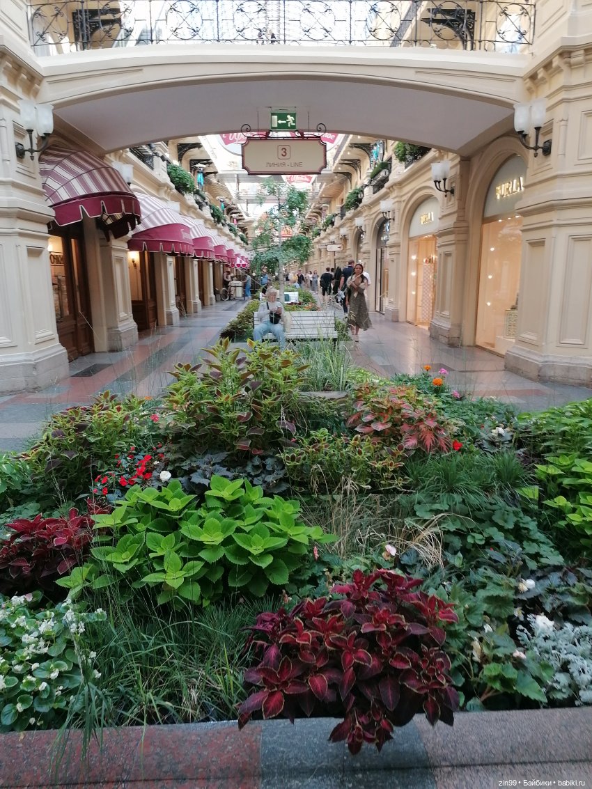 Цветочный джем в Москве А также Манеж, ГУМ (фото 2)