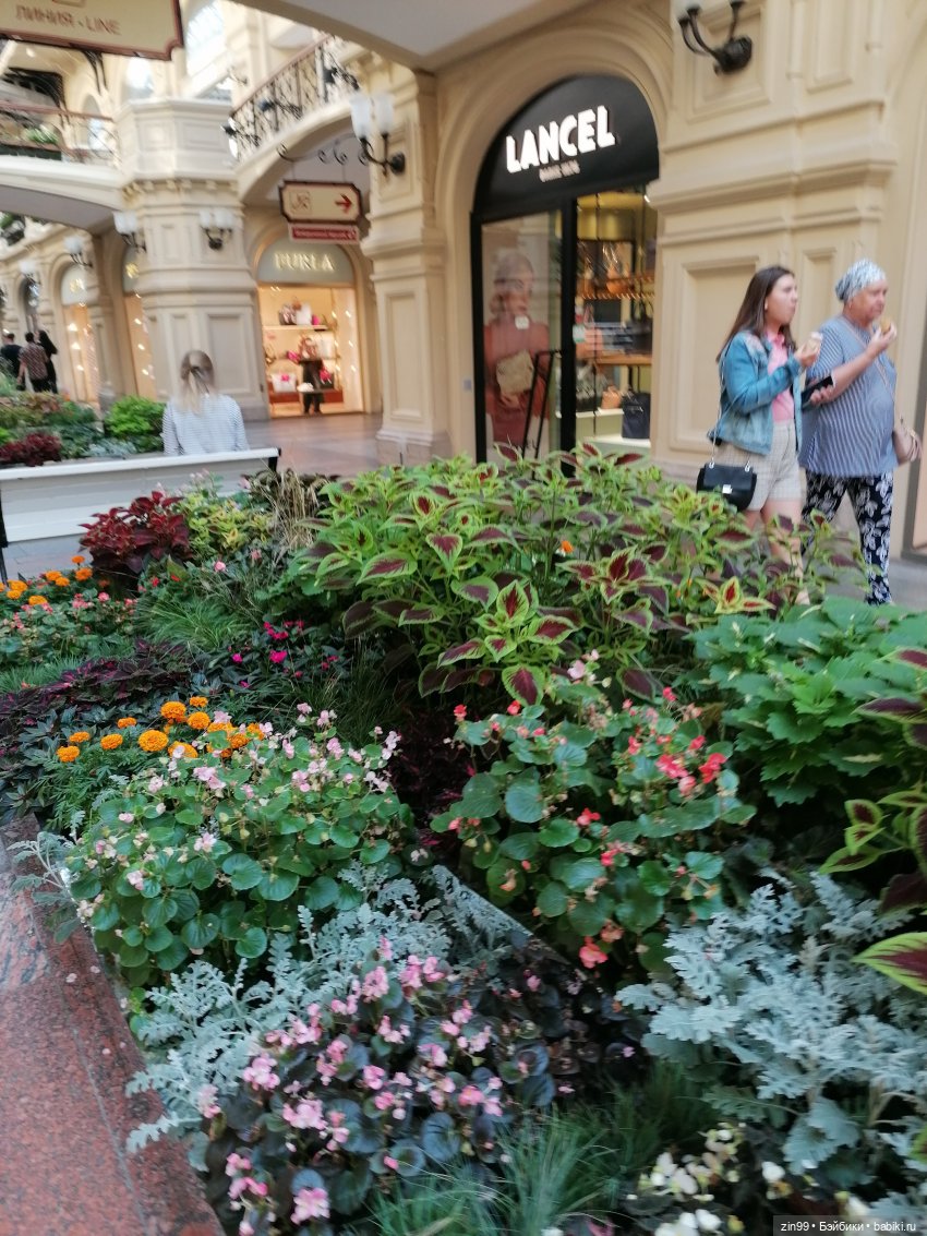 Цветочный джем в Москве А также Манеж, ГУМ