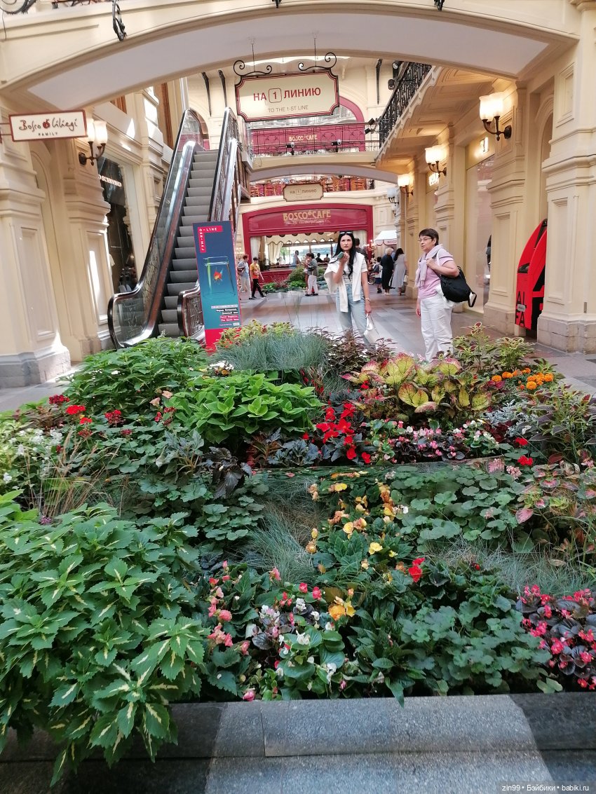 Цветочный джем в Москве А также Манеж, ГУМ (фото 3)