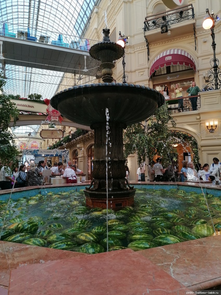 Цветочный джем в Москве А также Манеж, ГУМ (фото 8)