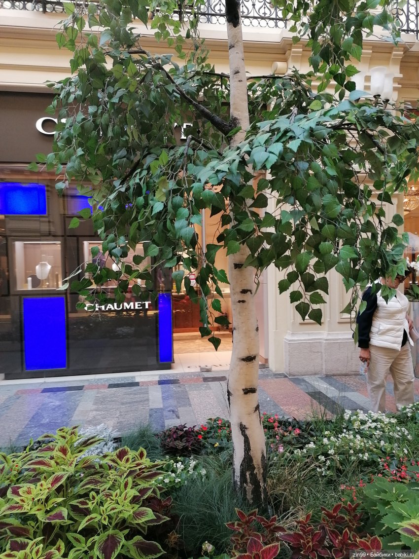 Цветочный джем в Москве А также Манеж, ГУМ