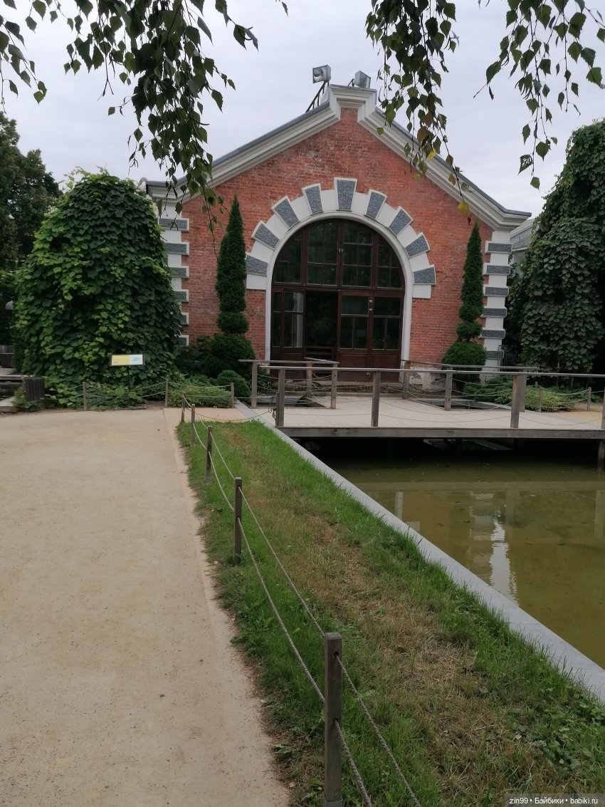 Аптекарский огород в августе (фото 4)