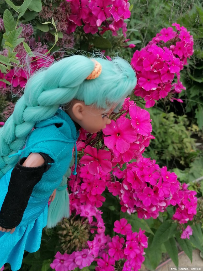 Аптекарский огород в августе (фото 7)