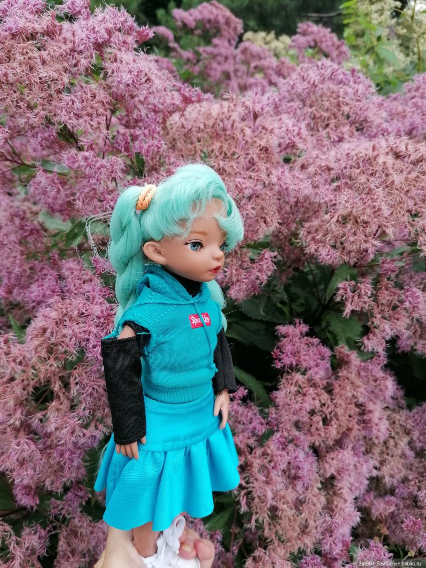 Аптекарский огород в августе (фото 6)