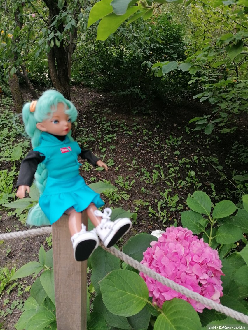 Аптекарский огород в августе