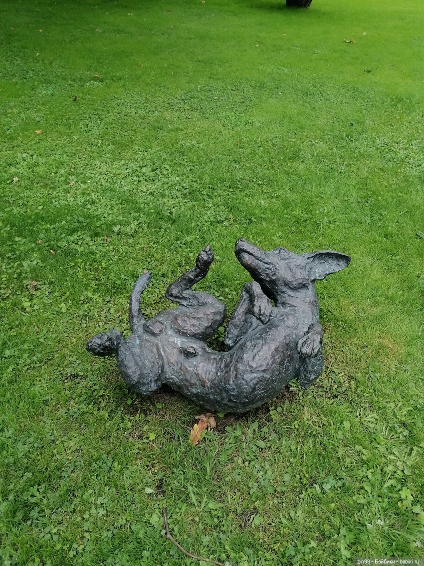 Аптекарский огород в августе