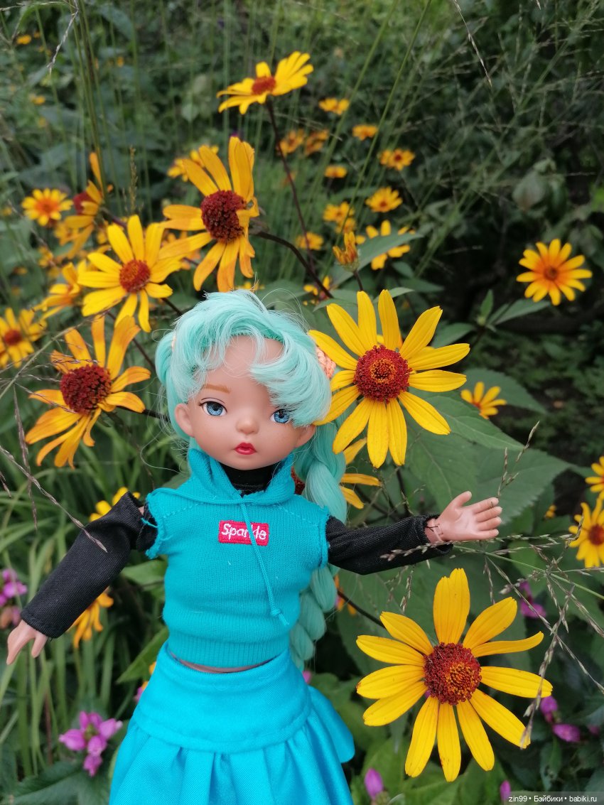 Аптекарский огород в августе