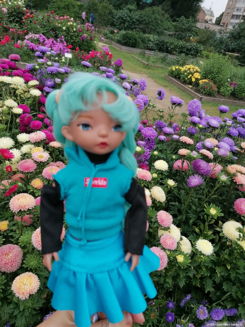 Аптекарский огород в августе