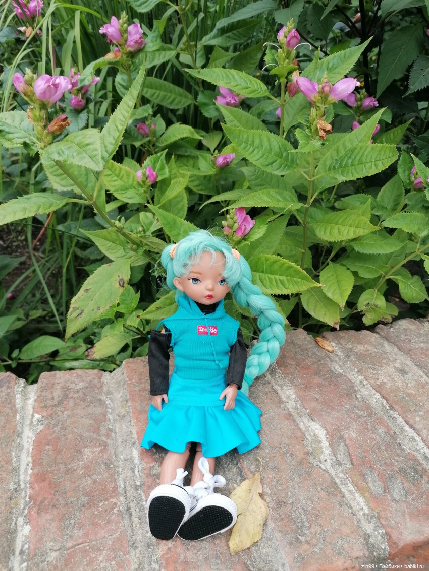 Аптекарский огород в августе