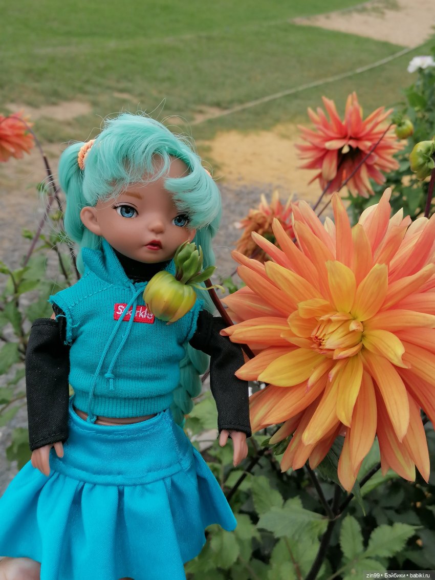 Аптекарский огород в августе