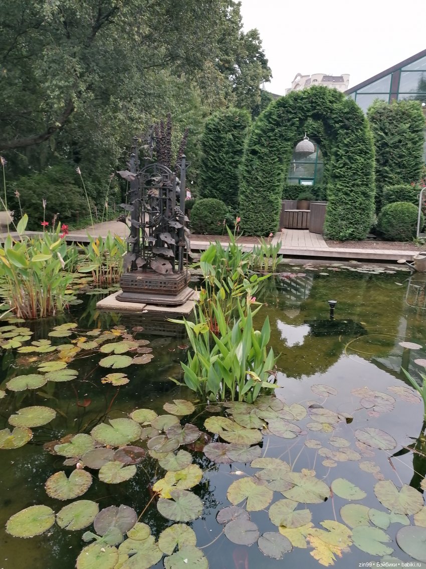 Аптекарский огород в августе