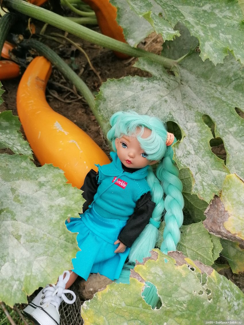 Аптекарский огород в августе