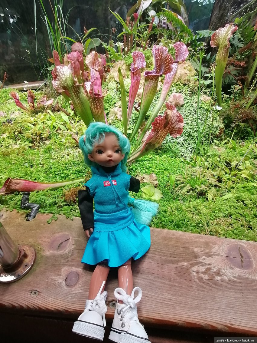 Аптекарский огород в августе