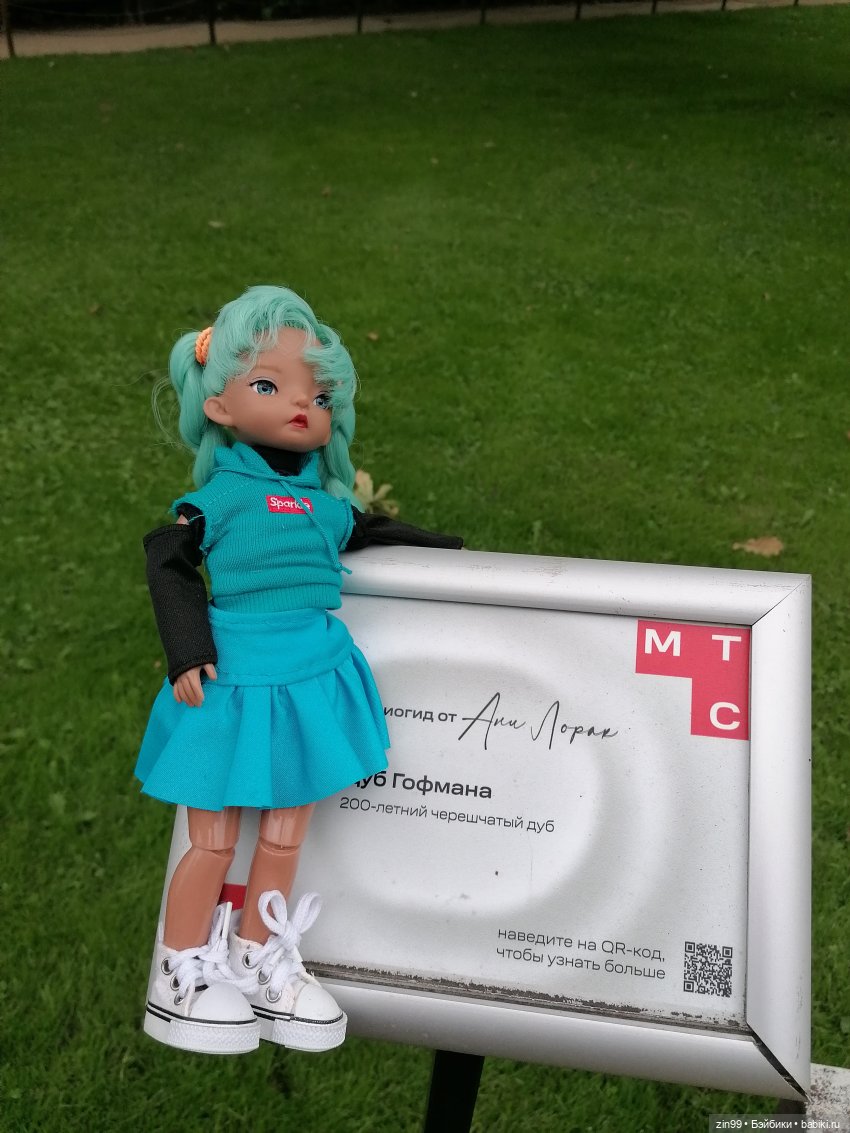 Аптекарский огород в августе