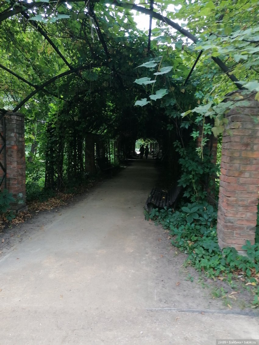 Аптекарский огород в августе