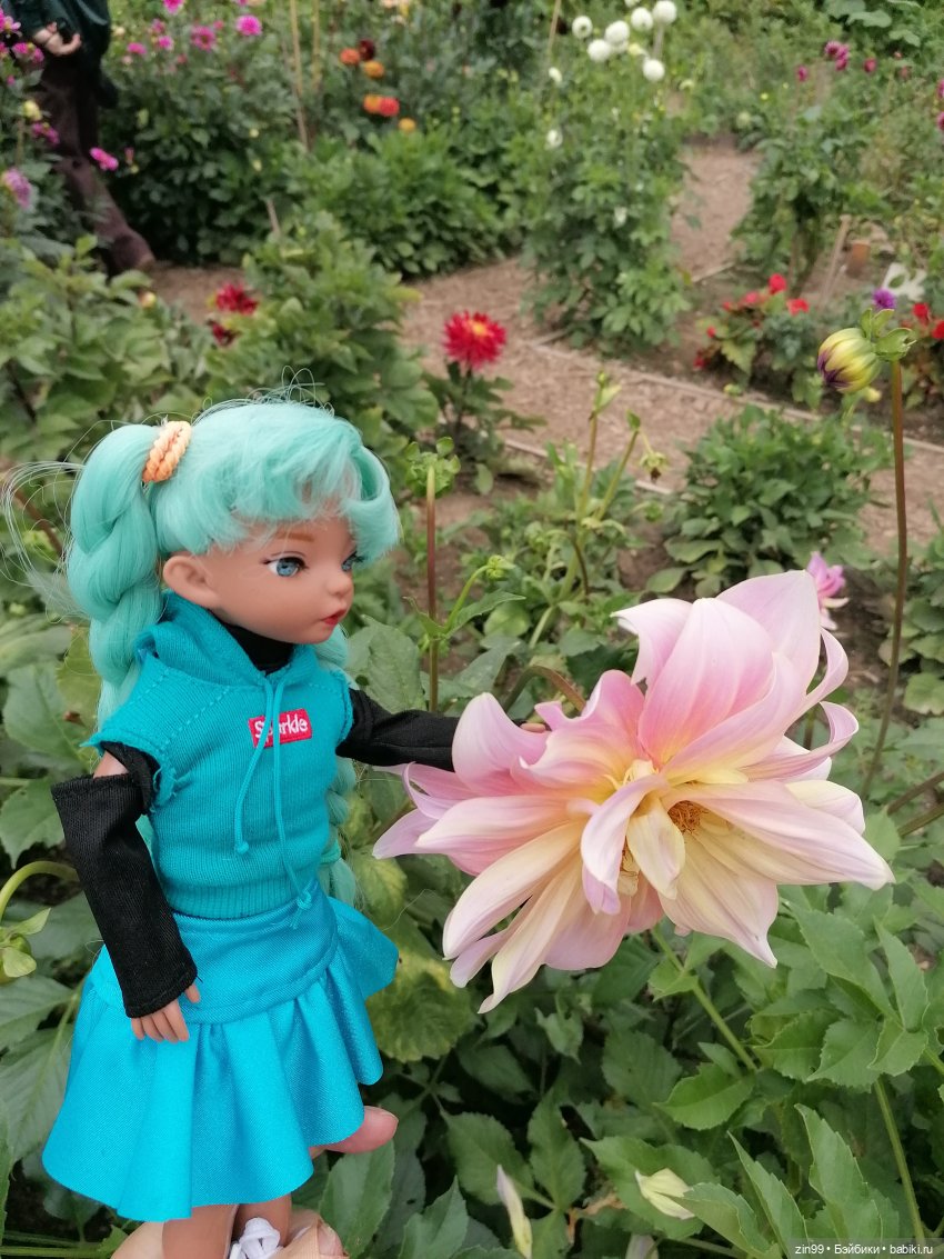 Аптекарский огород в августе