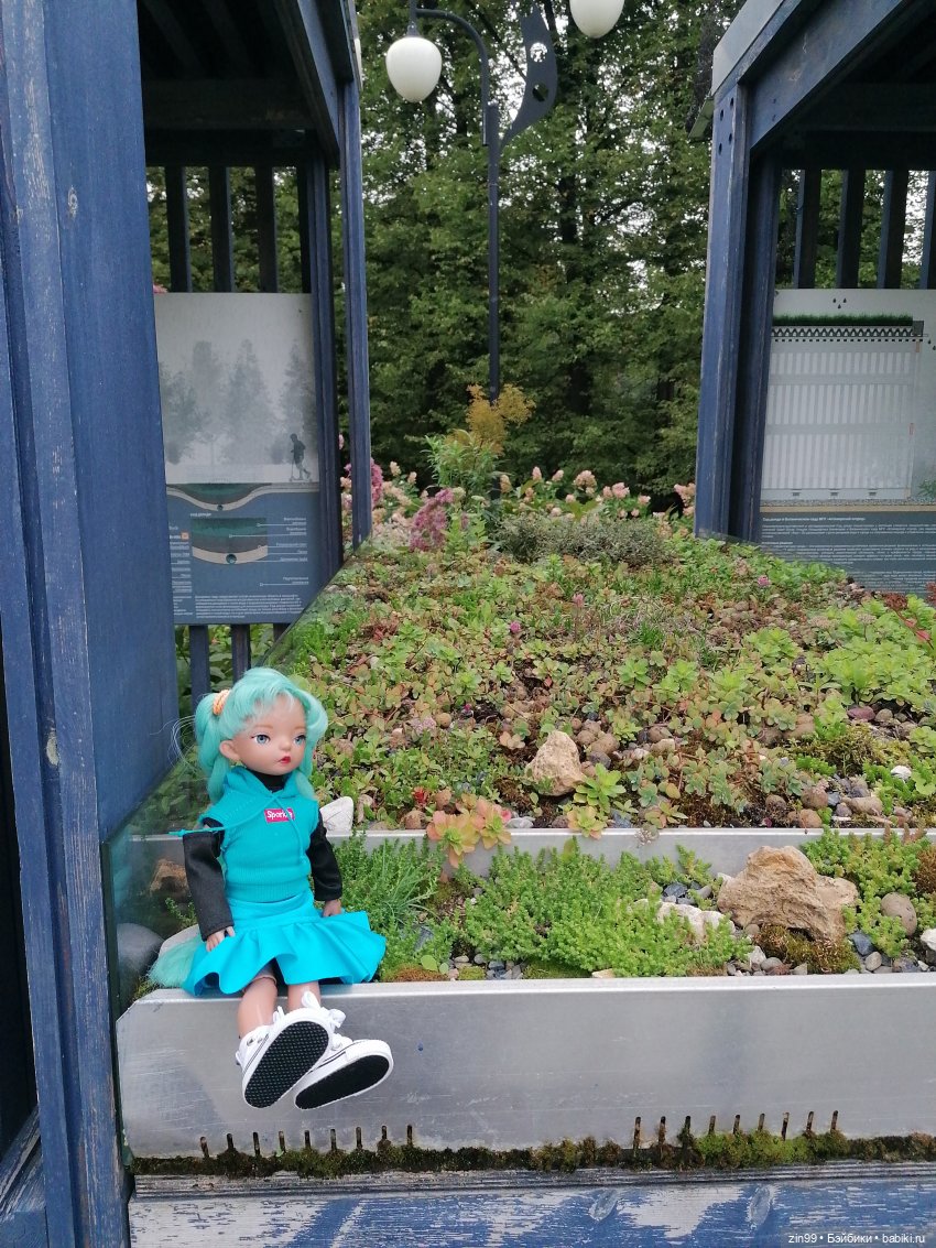 Аптекарский огород в августе