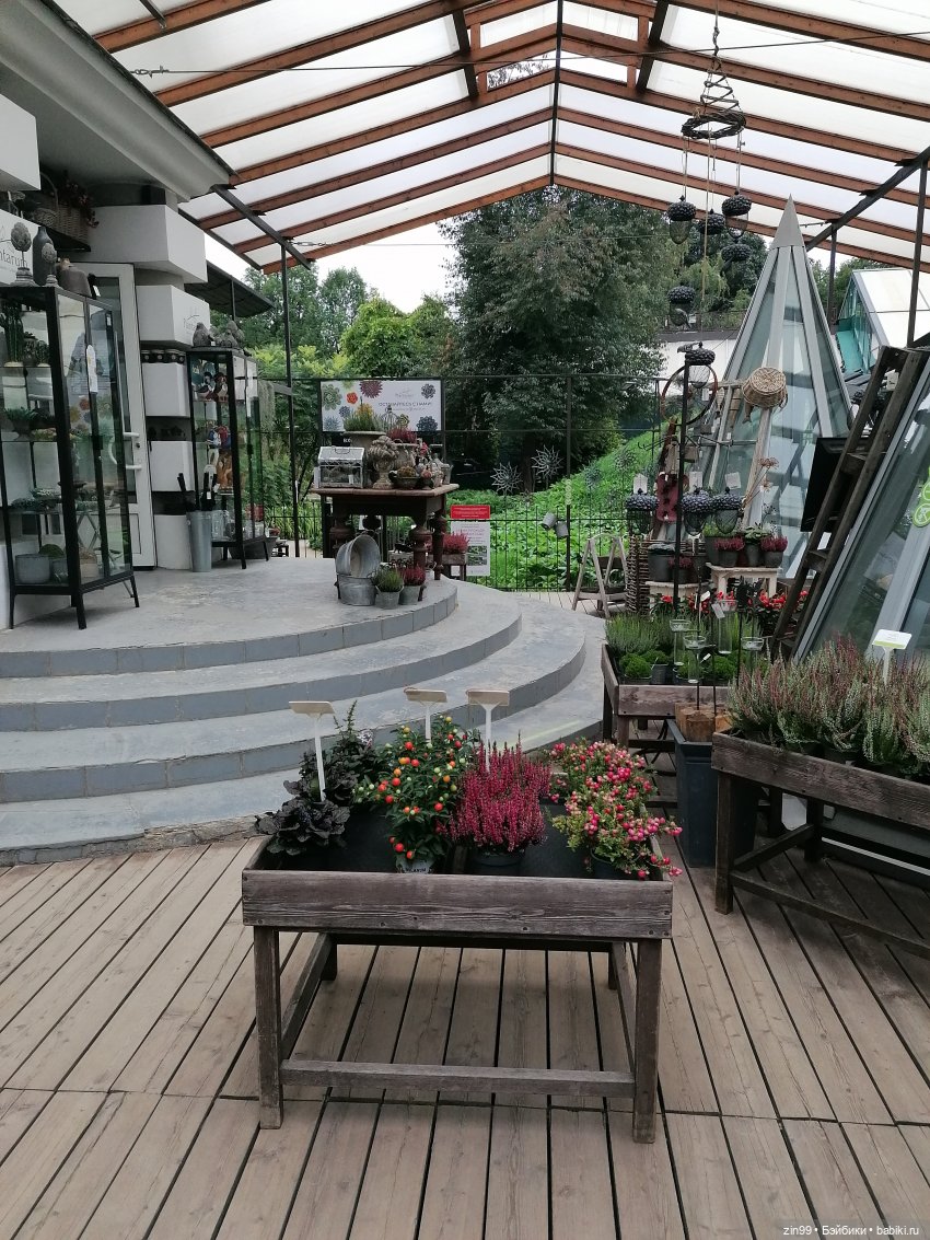 Аптекарский огород в августе