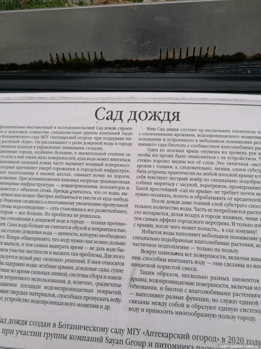 Аптекарский огород в августе