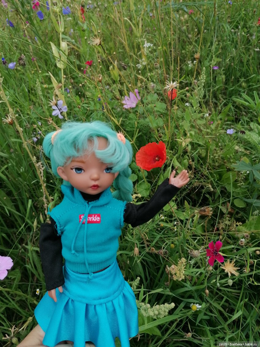 Аптекарский огород в августе