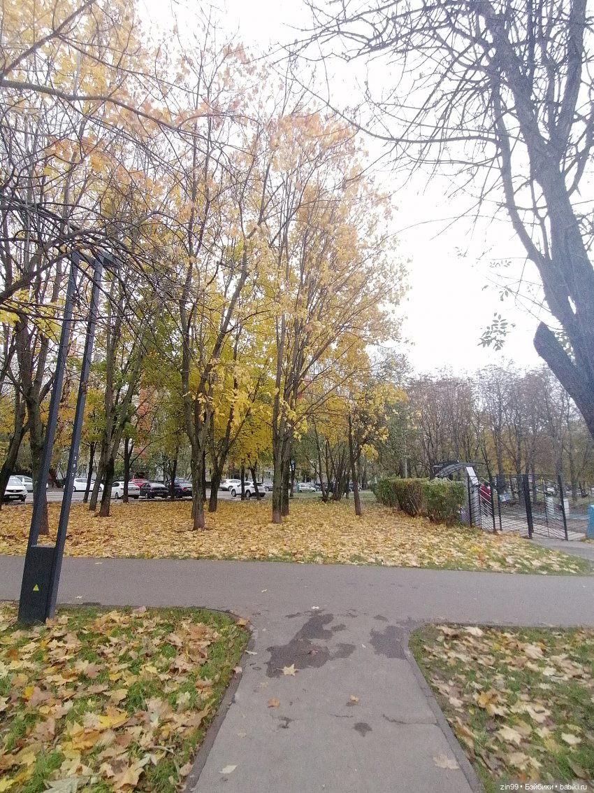 Осень и девочка — Коллекции шарнирных