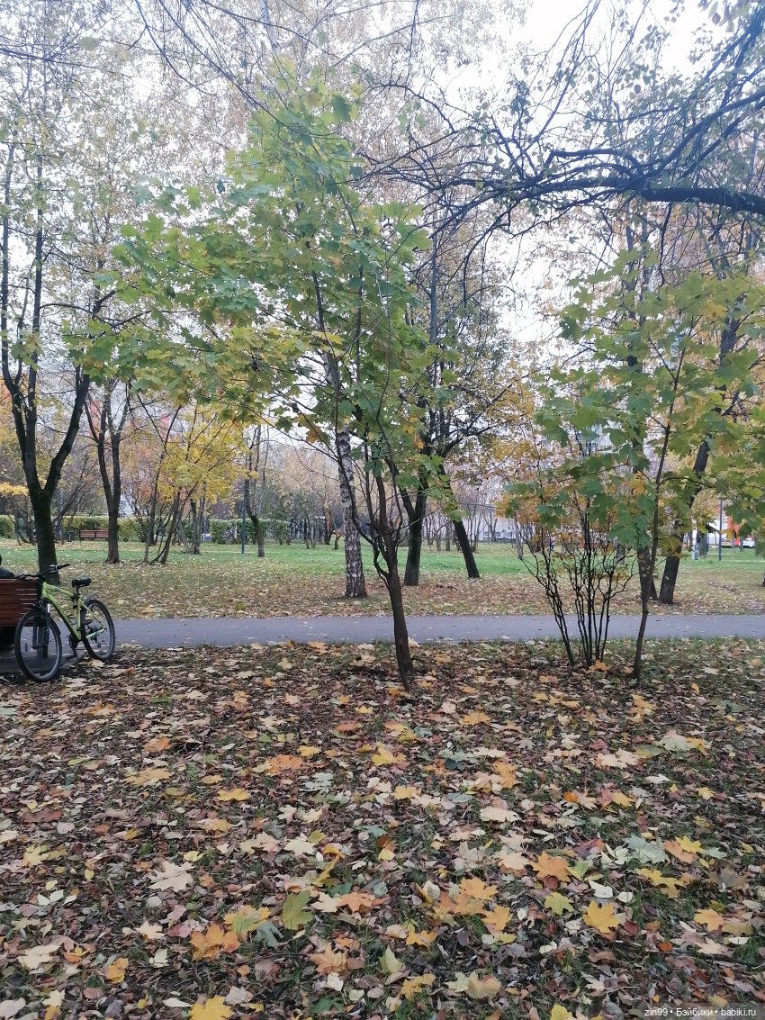 Осень и девочка — Коллекции шарнирных