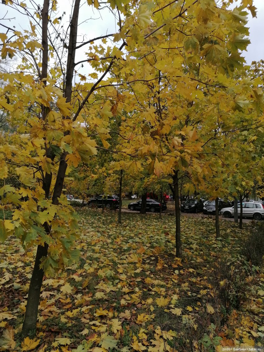 Осень и девочка — Коллекции шарнирных