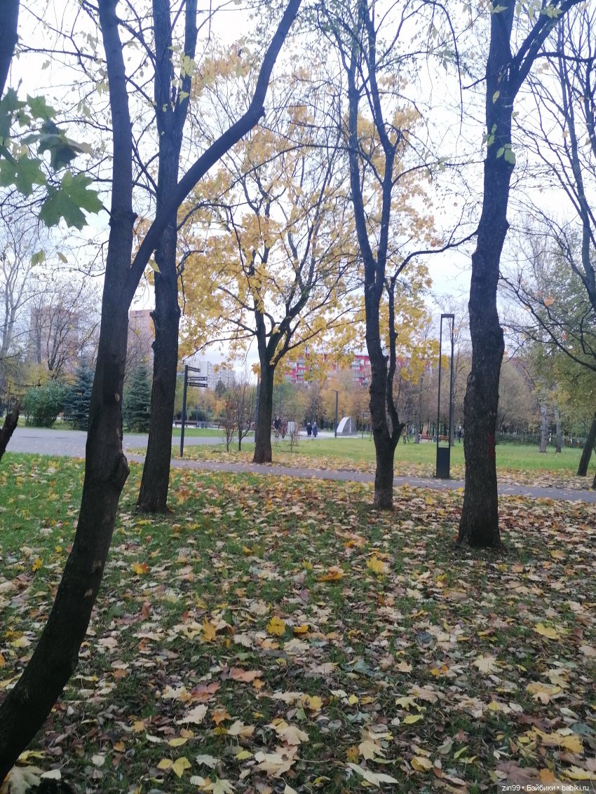 Осень и девочка — Коллекции шарнирных