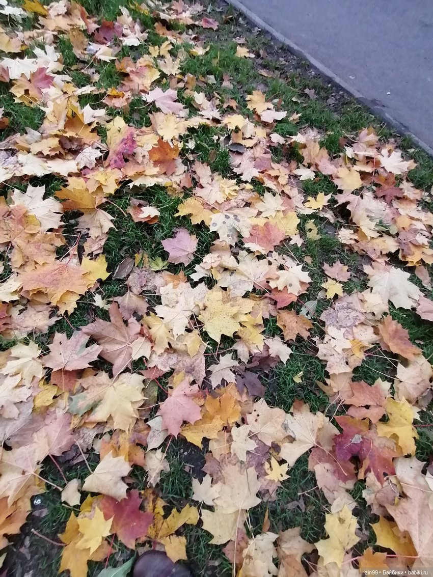 Осень и девочка — Коллекции шарнирных